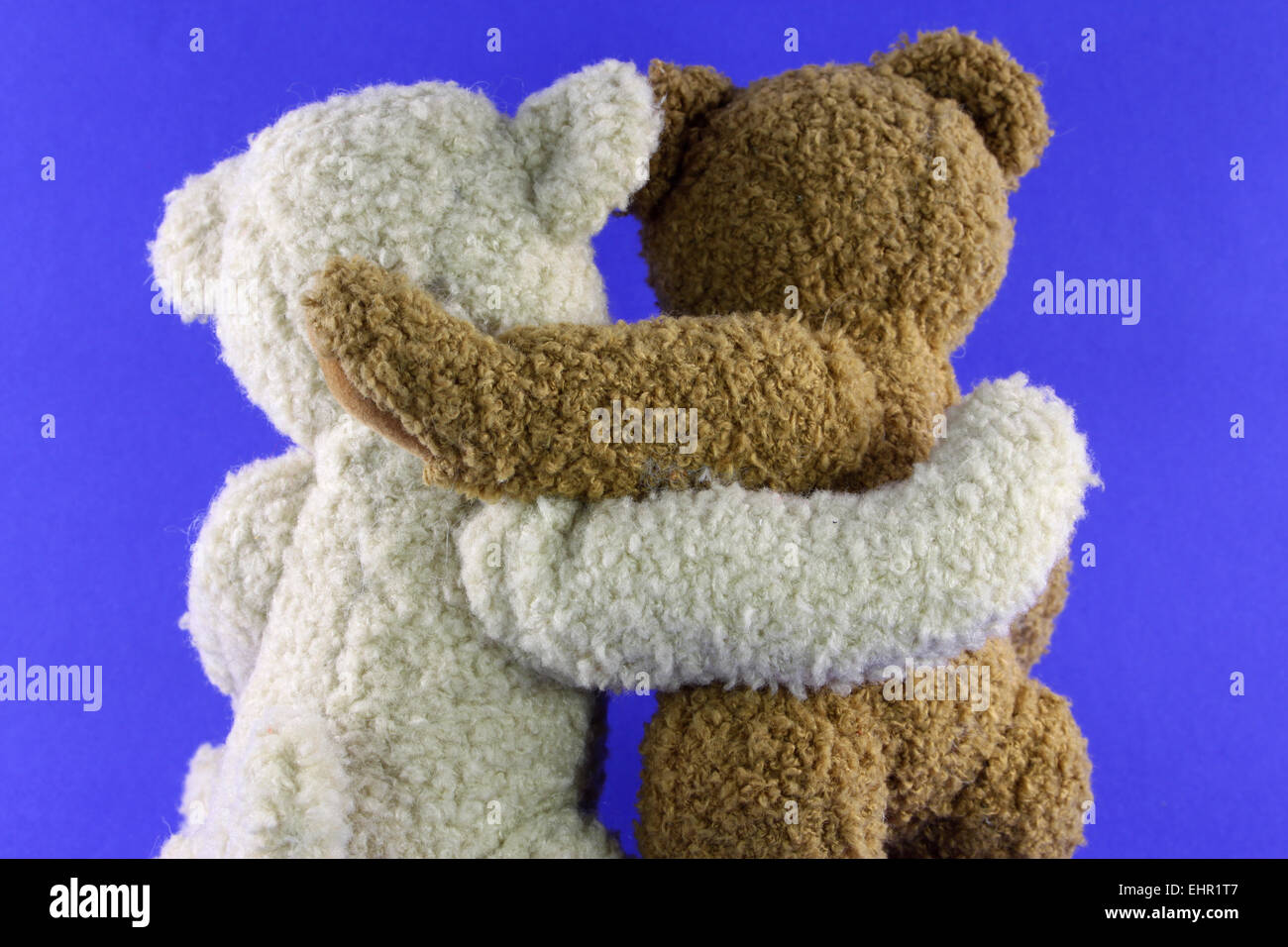 teddybears Stock Photo