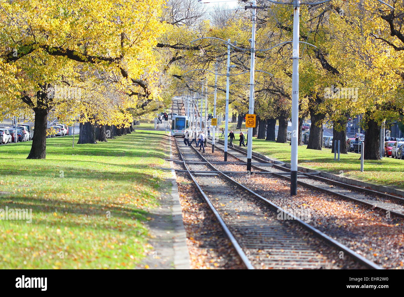 Autumn in Melbourne Victoria AustraliaAutumn in Melbourne Victoria