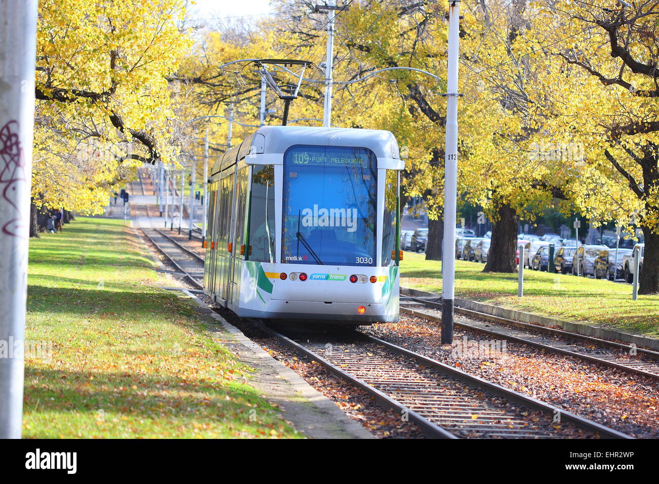 Melbourne Tram in  Autumn Stock Photo