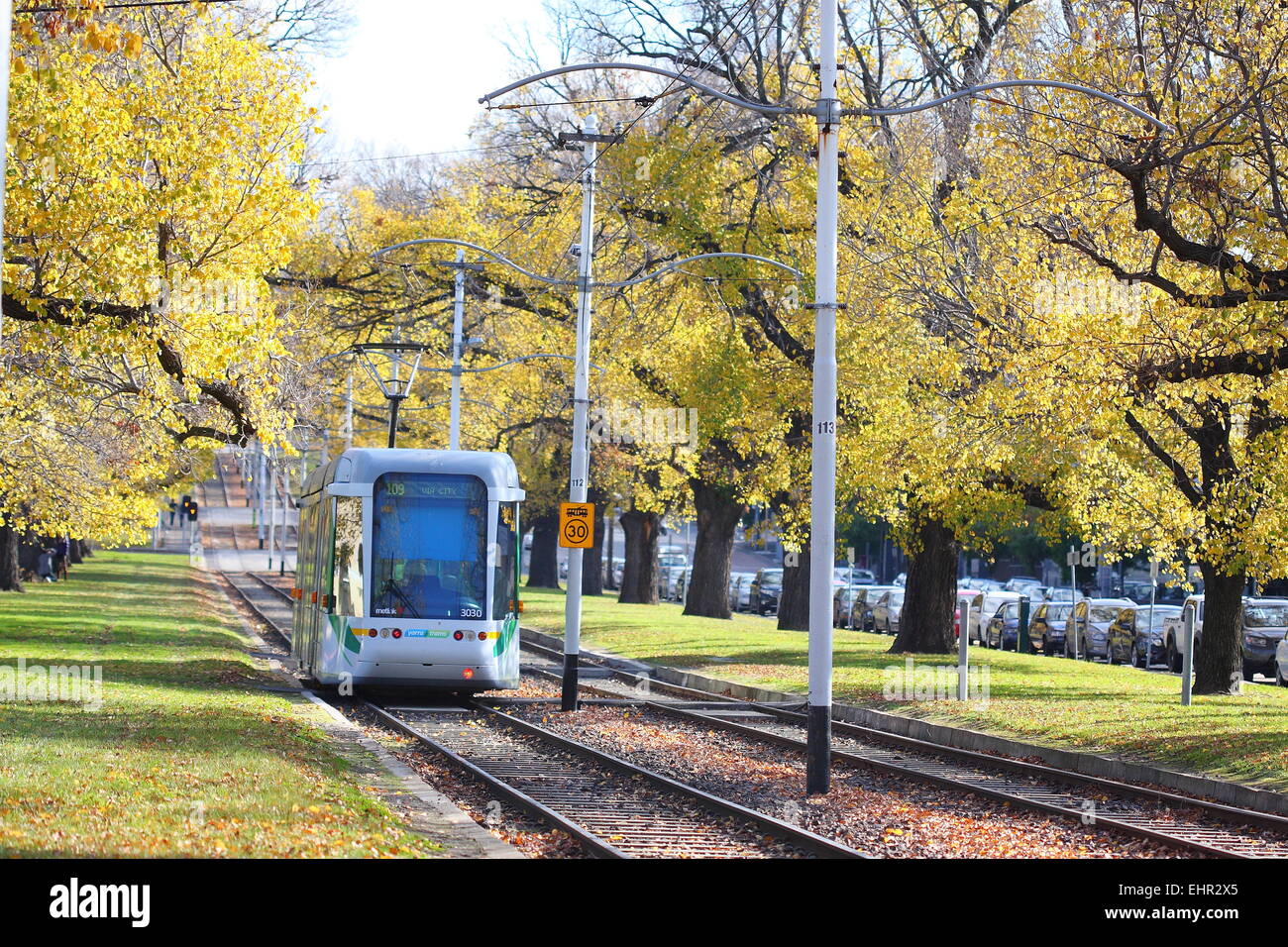 Melbourne Tram in  Autumn Stock Photo