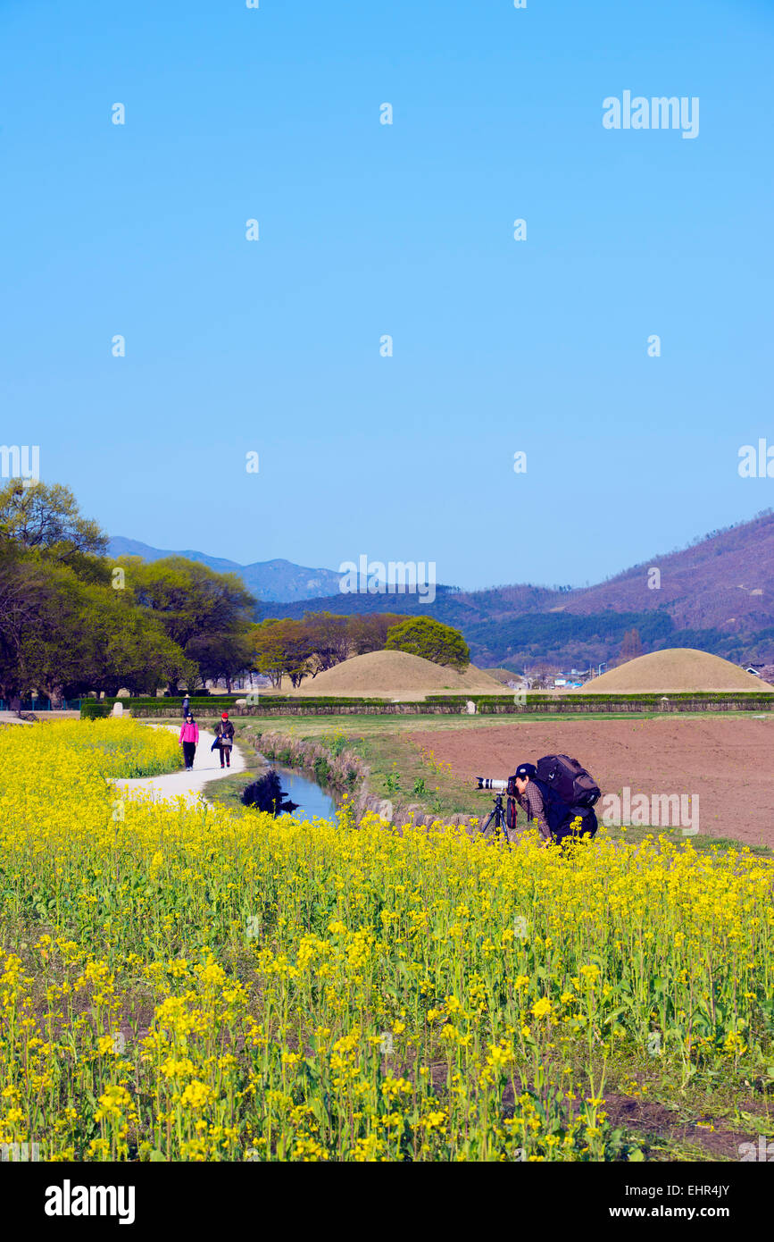 Asia, Republic of Korea, South Korea, Gyeongsangbuk-do, Gyeongju, Royal Tombs burial mounds, Unesco site Stock Photo