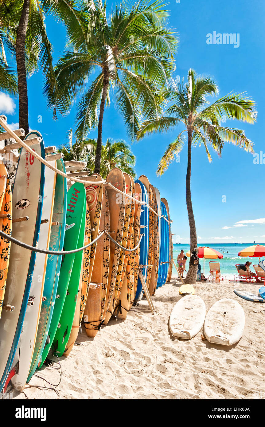 Honolulu, HI, USA September 7, 2013 Surfboards lined up in the rack