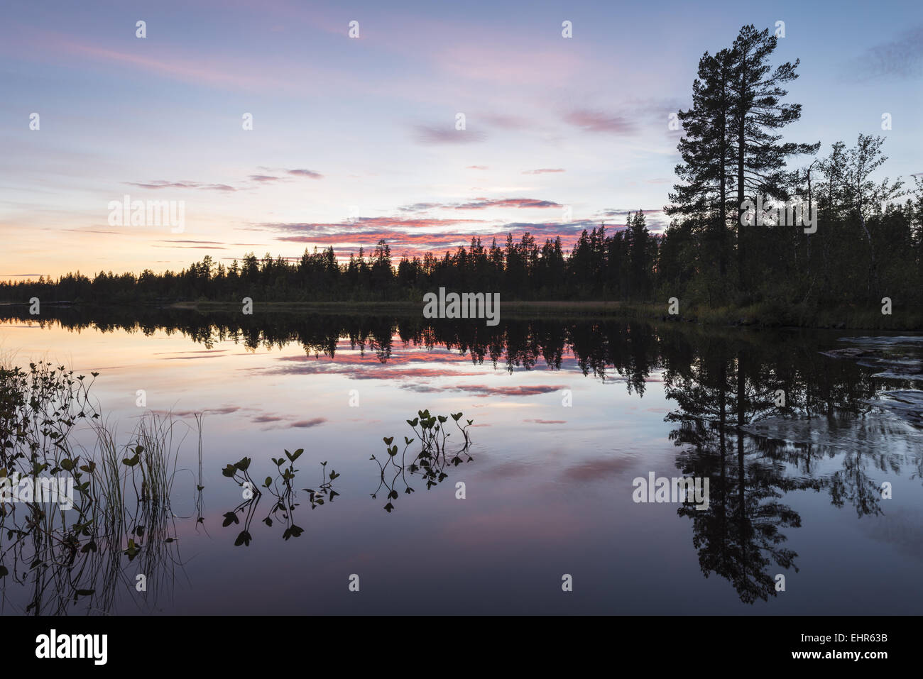 evening mood beside a lake, Lapland, Sweden Stock Photo