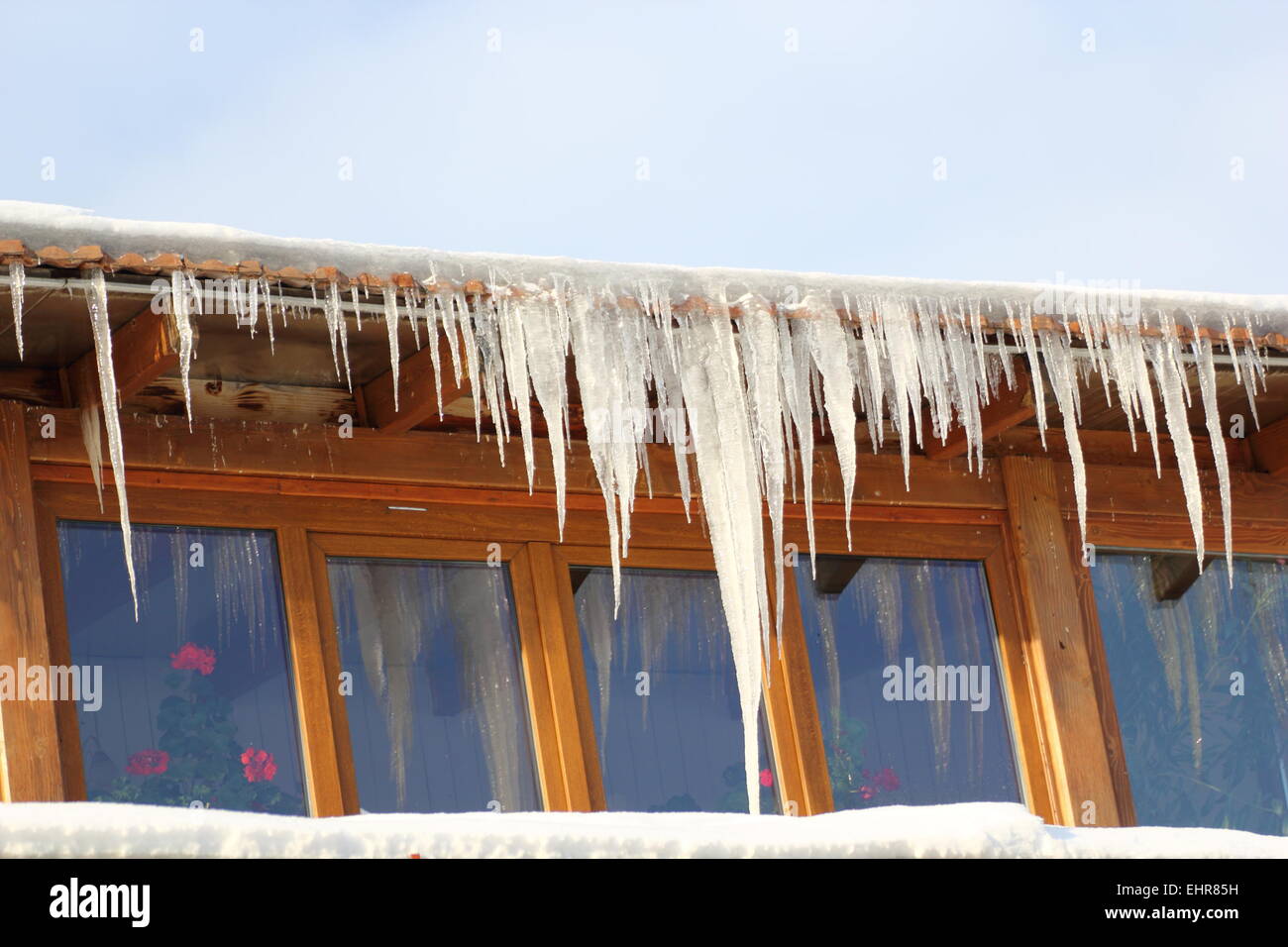 long big icicles on a house roof in a cold winter day Stock Photo