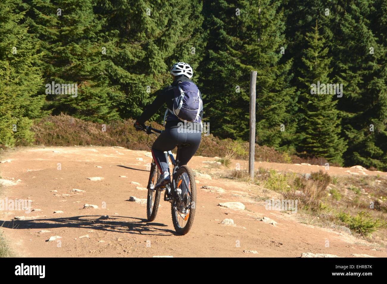 Cyclist in the Harz National Park Stock Photo
