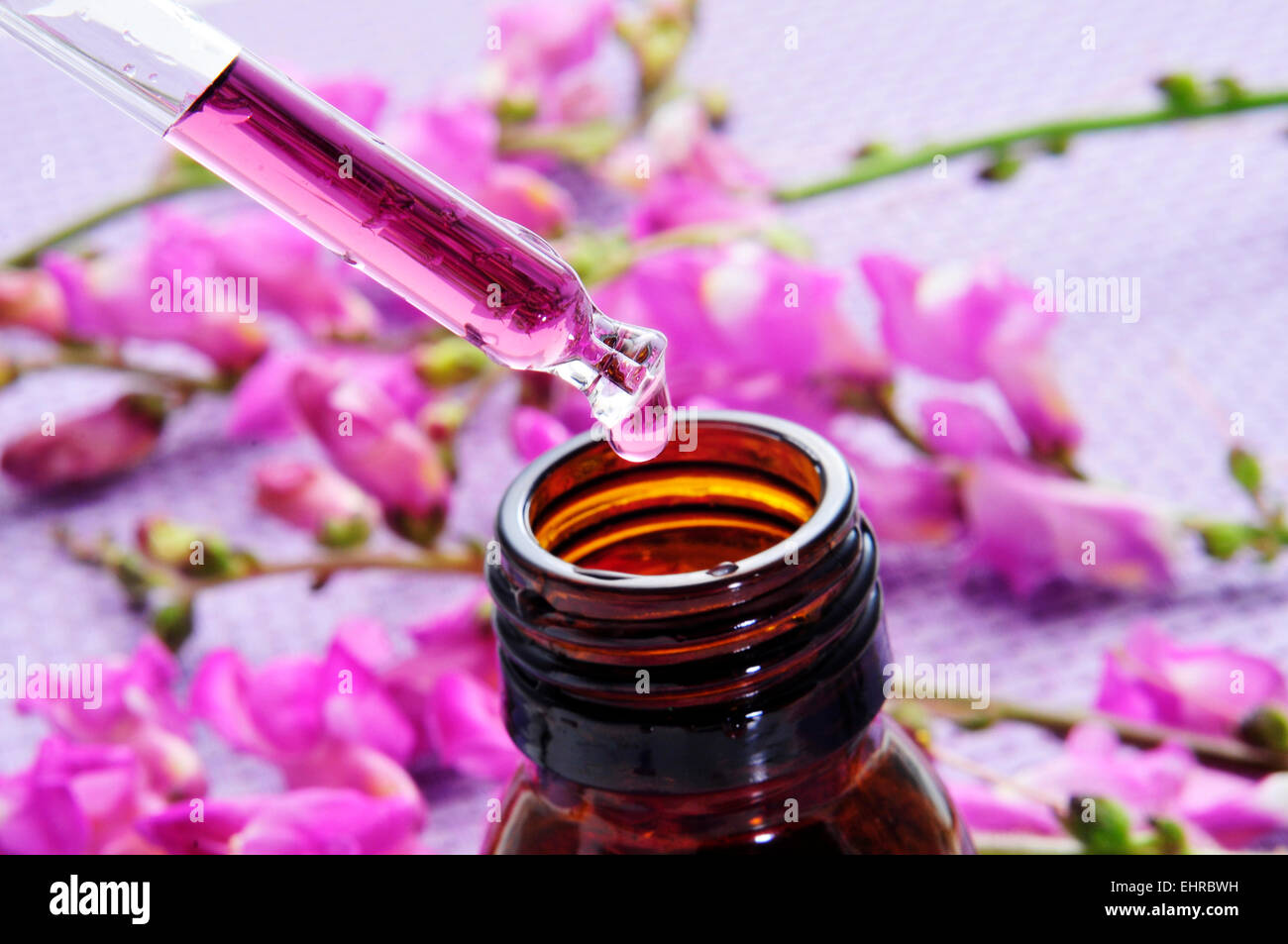 closeup of a dropper bottle and a pile of purple flowers on a purple background Stock Photo