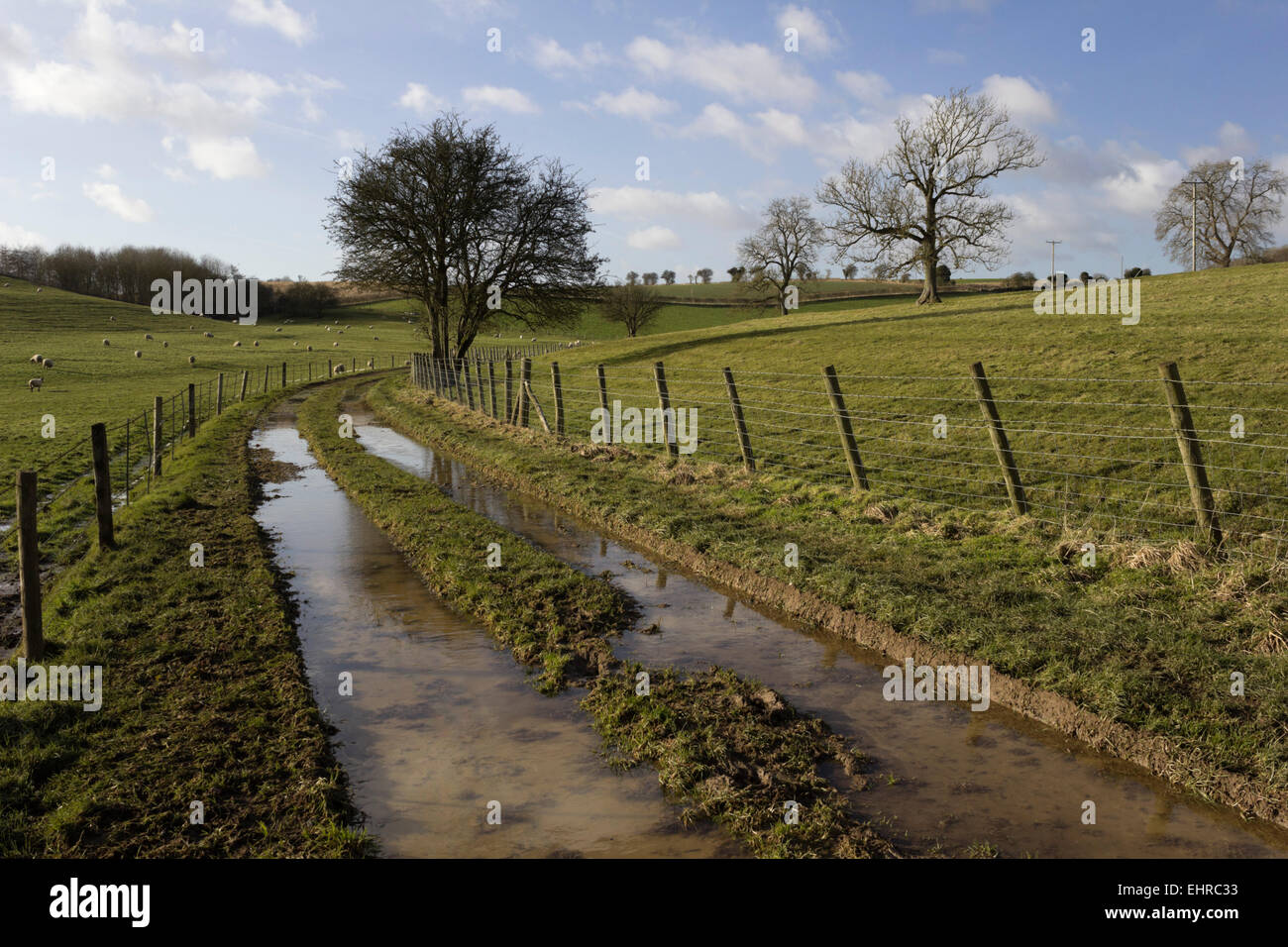 Water-logged farm track, Hampnett, Cotswolds, Gloucestershire, England, United Kingdom, Europe Stock Photo