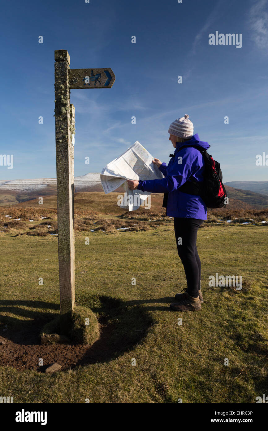Hiker reading map, near Bwlch, Brecon Beacons National Park, Powys, Wales, United Kingdom, Europe Stock Photo