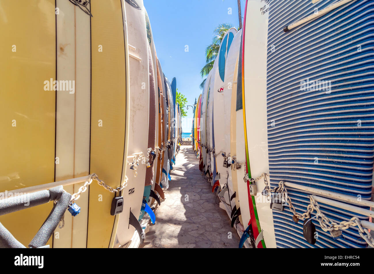 Surfboards lined up in the rack at famous Waikiki Beach in Honolulu