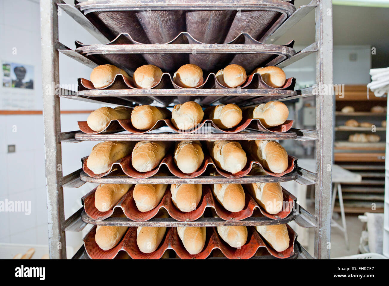 Bake Row Baguette rows of bread loaves in racks in a bakery Stock Photo - Alamy