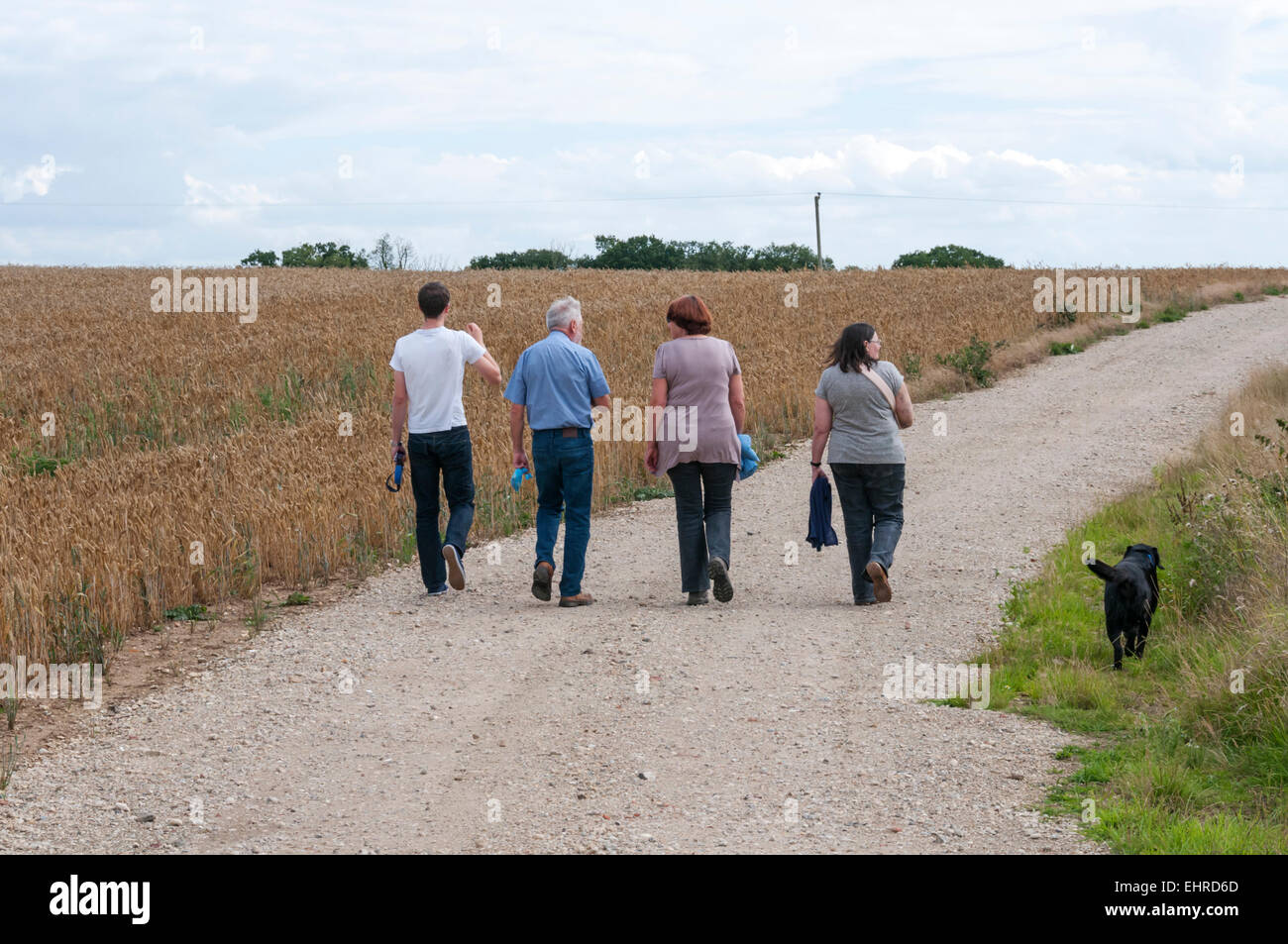 Group of friends walking with a dog on a farm road in the Essex countryside. Stock Photo