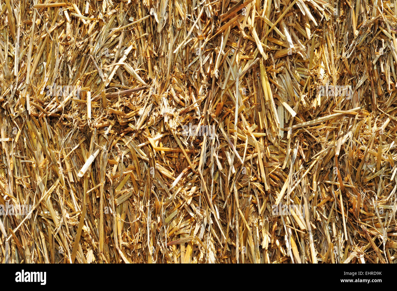 closeup of a square straw bale Stock Photo Alamy