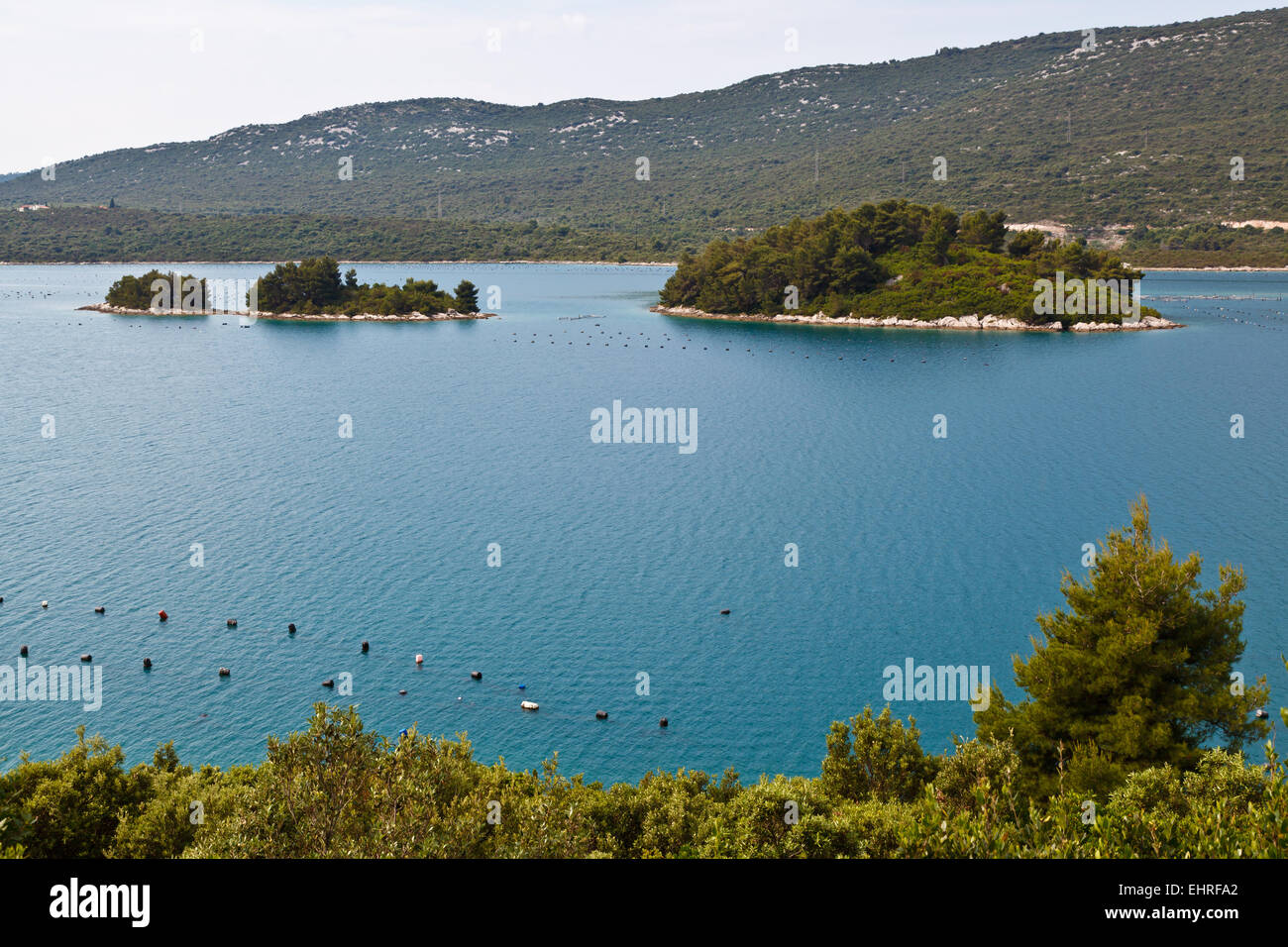 Oyster Farm in Adriatic Sea near Dubrovnik, Croatia Stock Photo Alamy