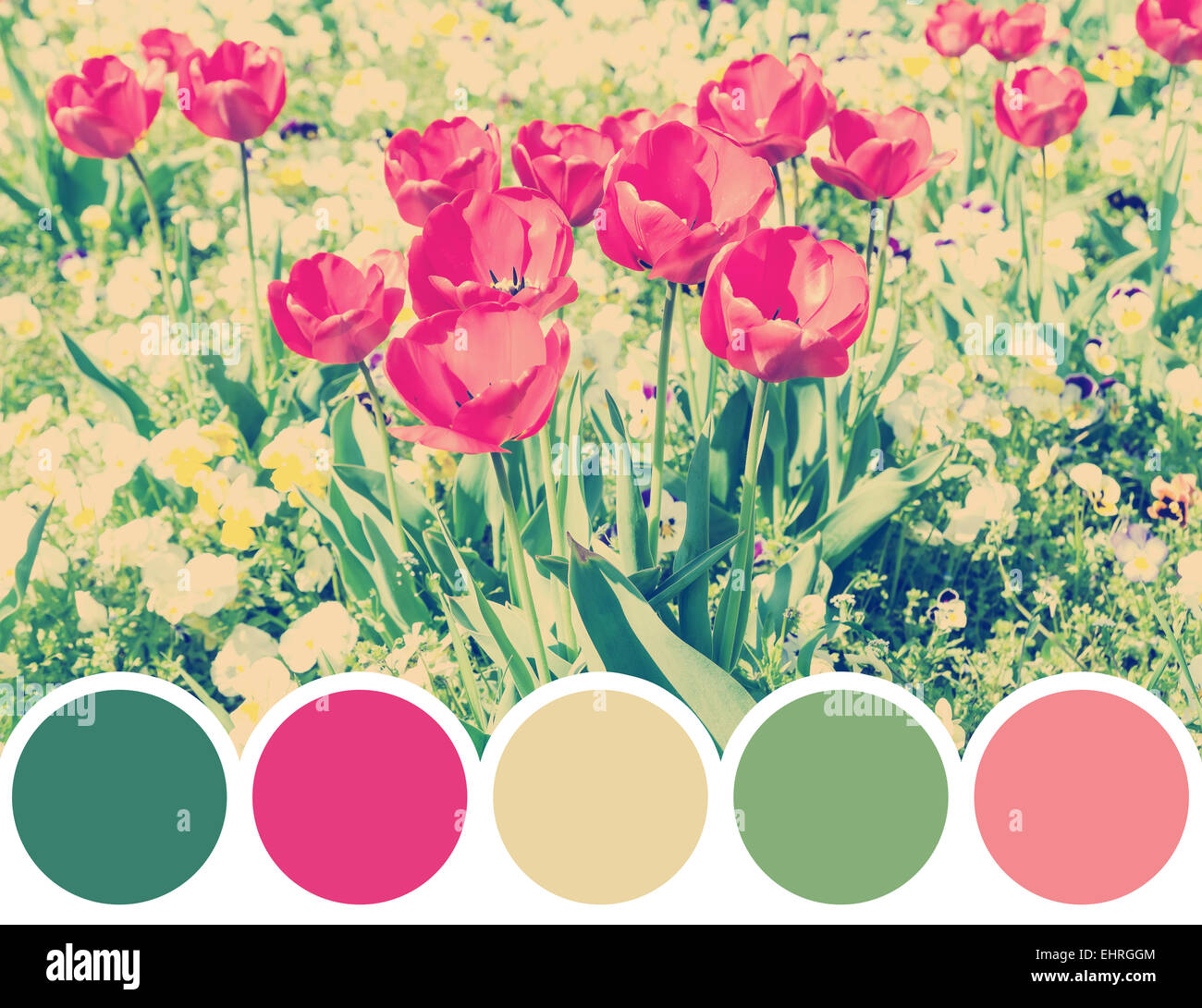Red Spring Color Combinations Color palette retro red spring hi-res stock photography and images - Alamy