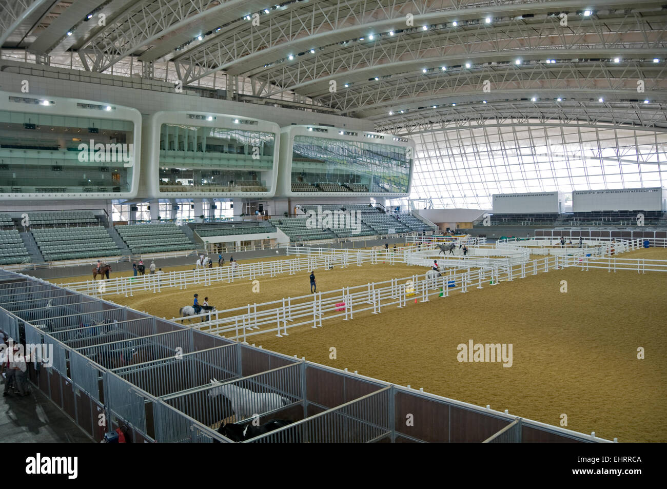 Al Shaqab Equestrian Centre, Doha, Qatar. Middle East. Stock Photo