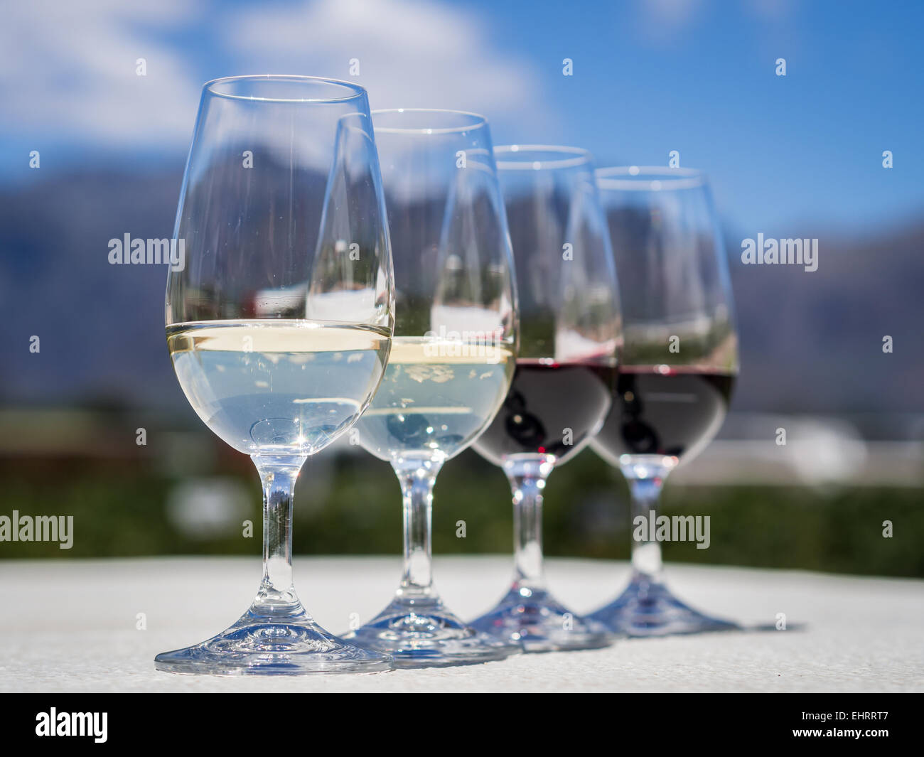 Four glasses, two with red and two with white wines served for tasting