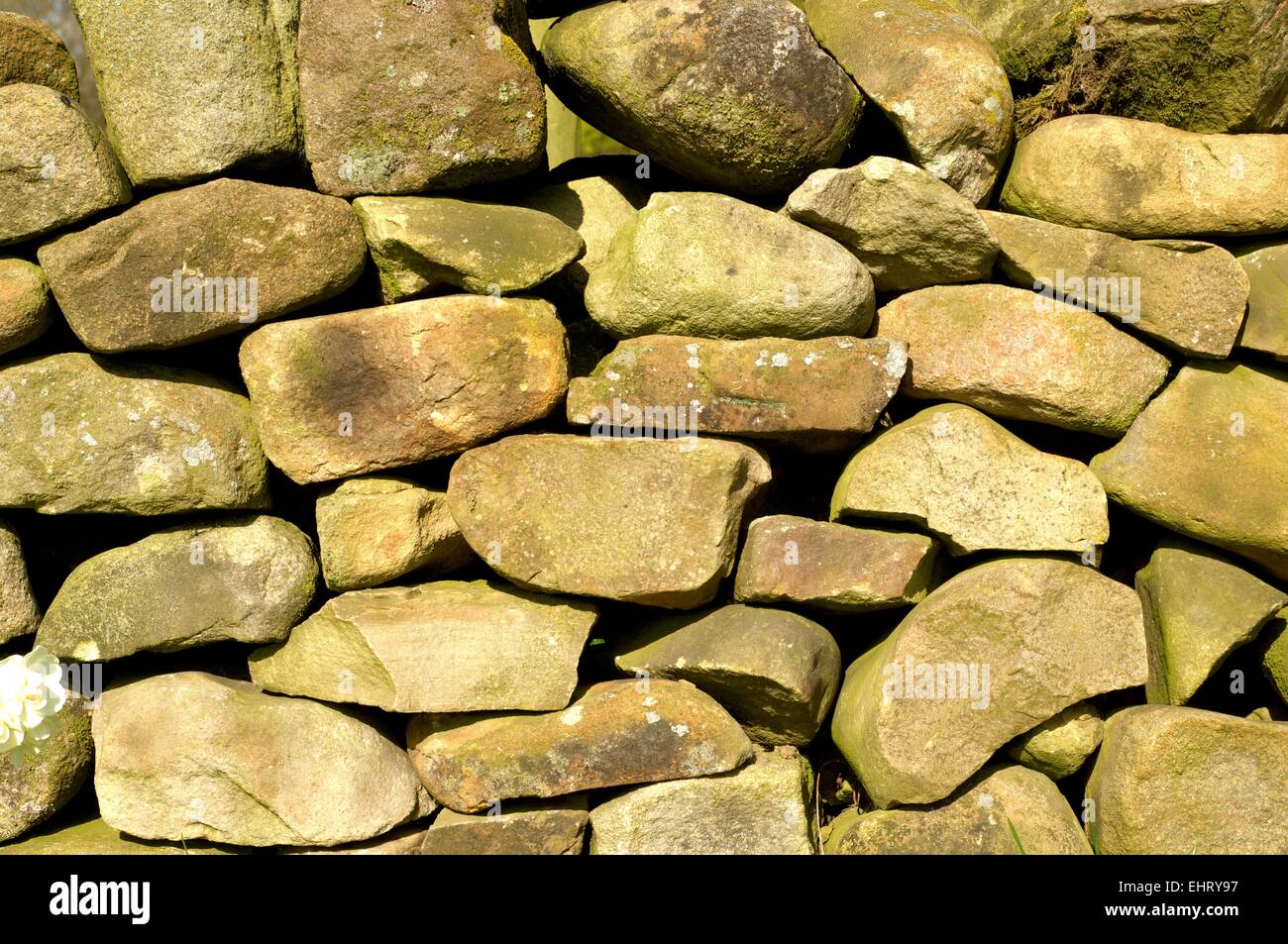 Traditional stone walling close up in the United Kingdom showing texture and irregular shapes Stock Photo