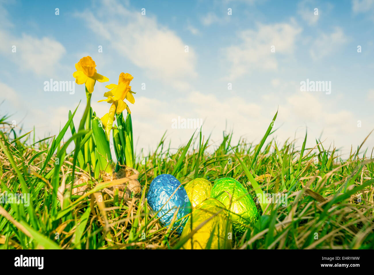 Easter eggs with daffodils in the grass Stock Photo - Alamy