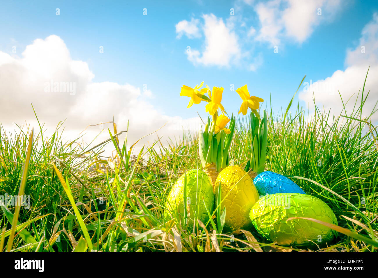 Easter eggs in green grass with daffodils Stock Photo - Alamy