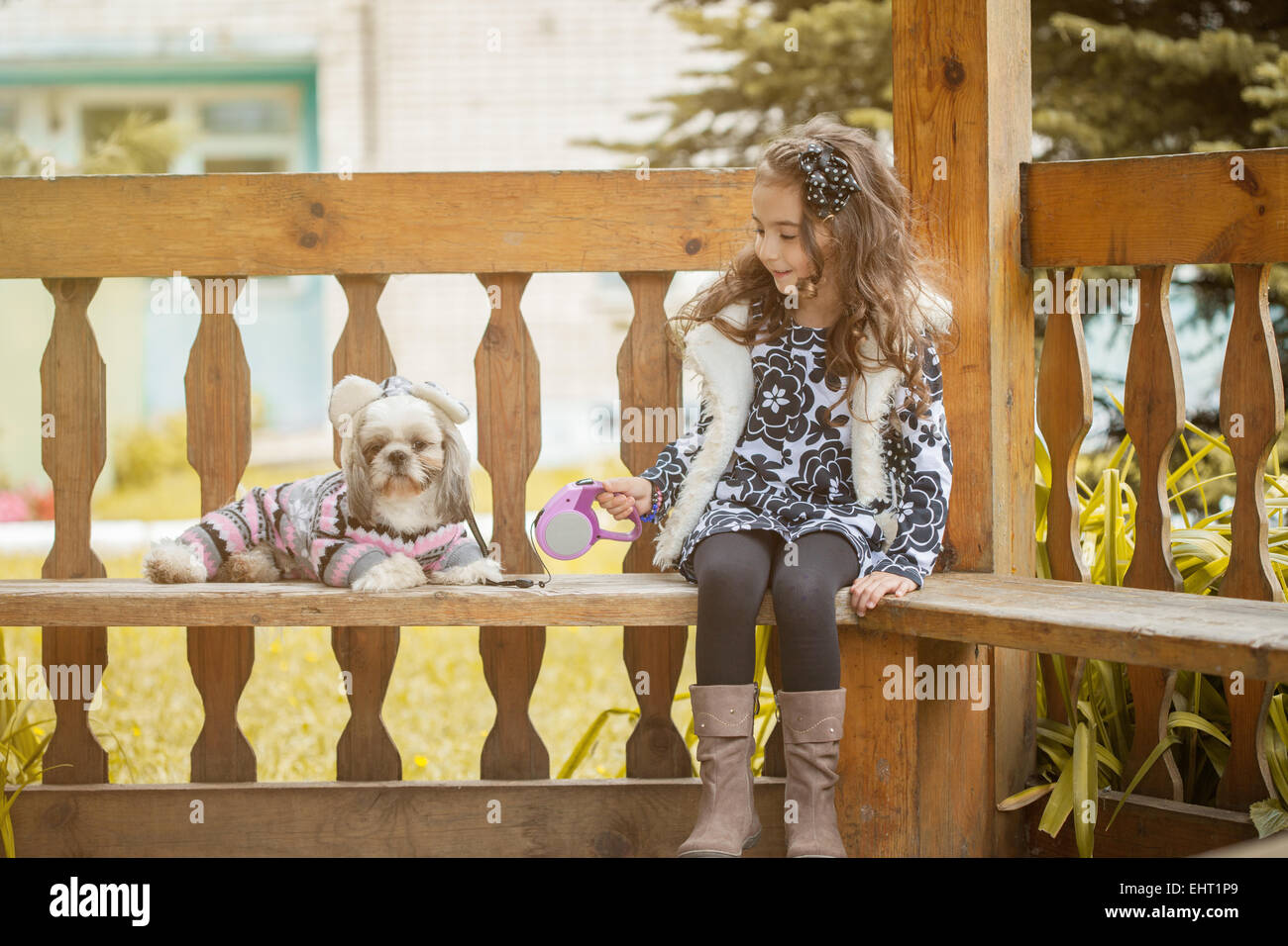 Curly girl sitting in arbor with cute puppy Stock Photo