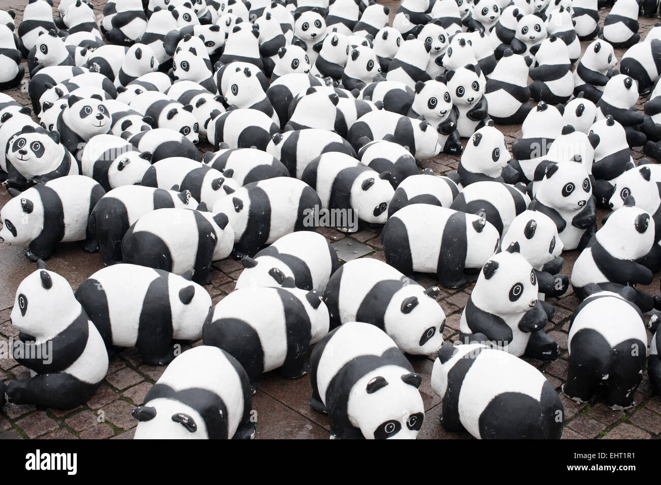 Pandas of the World Wildlife Stock Photo