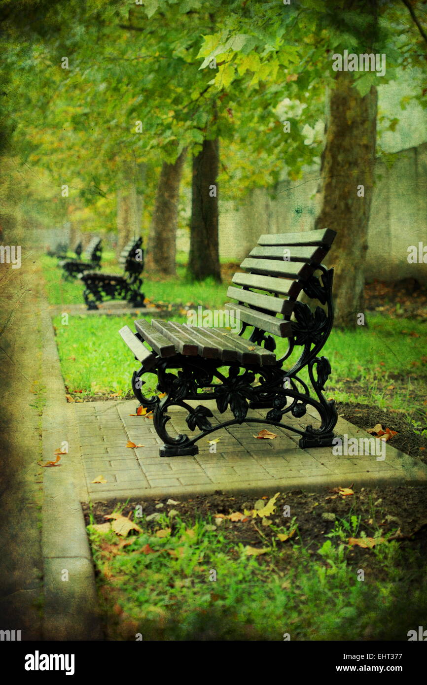 Bench in the old park. Stock Photo