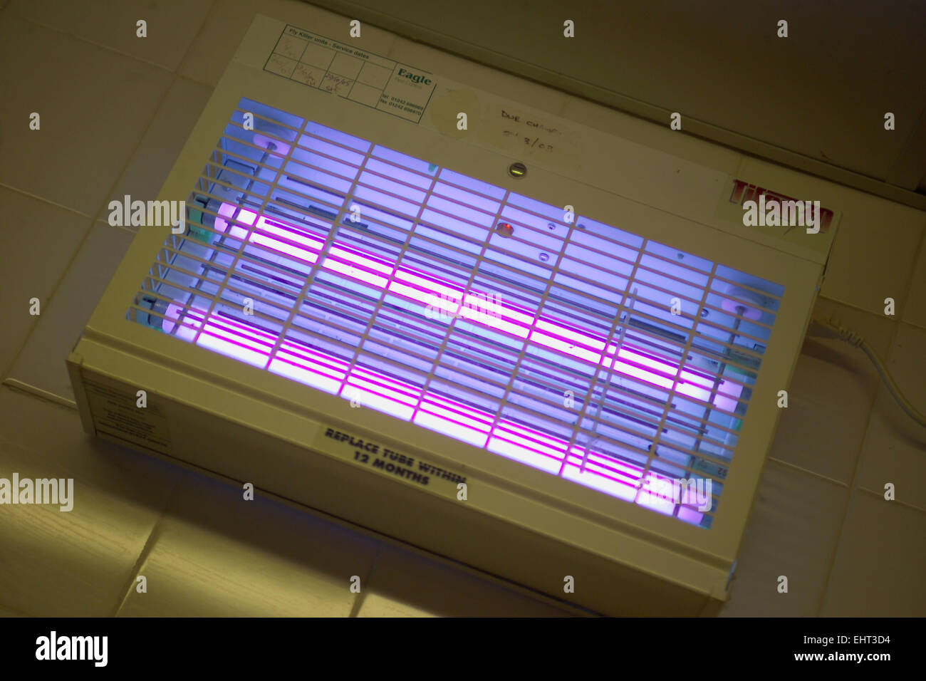 Commercial UV Fly Killer in restaurant kitchen Stock Photo Alamy