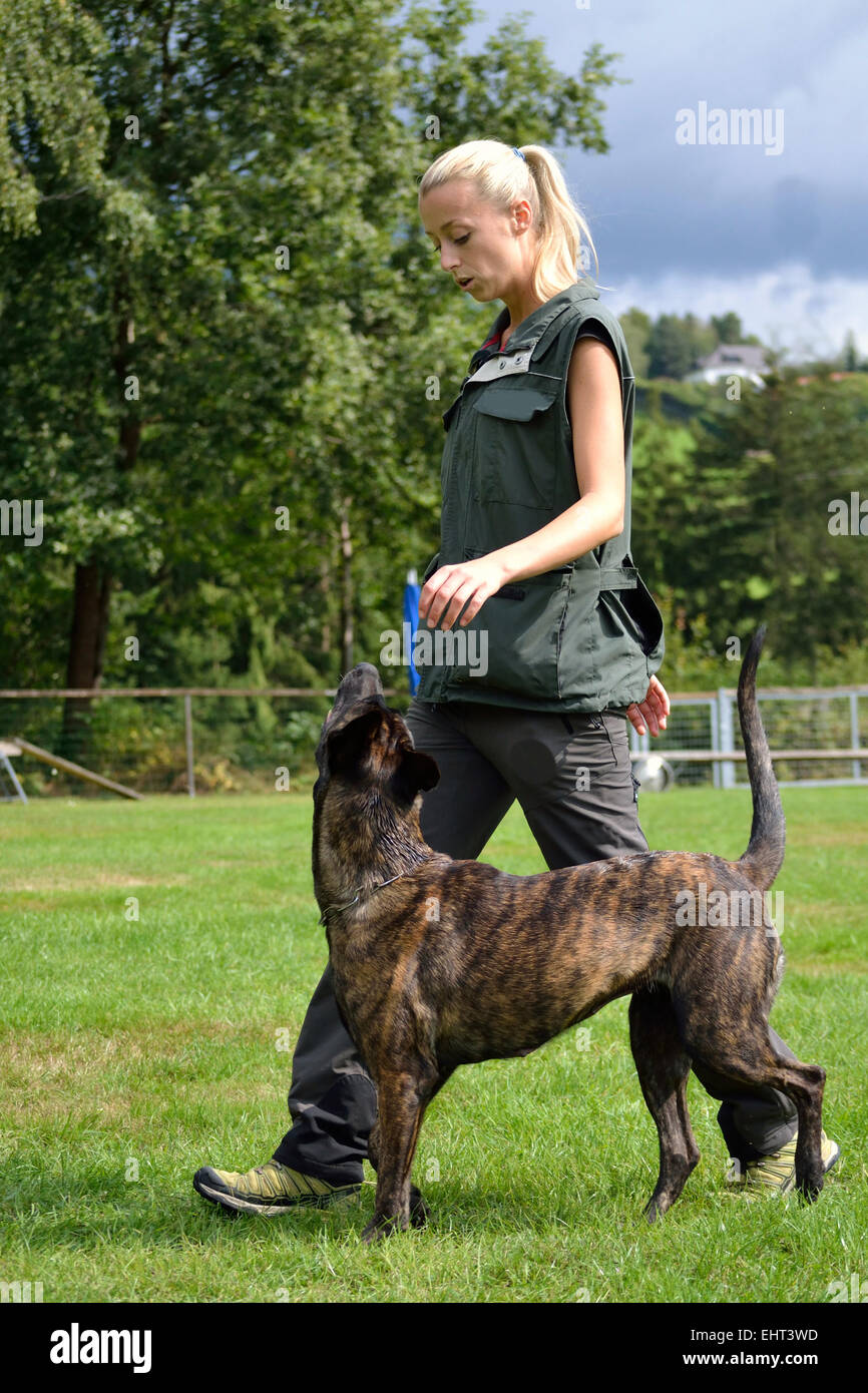 Dog trainer with dog Stock Photo