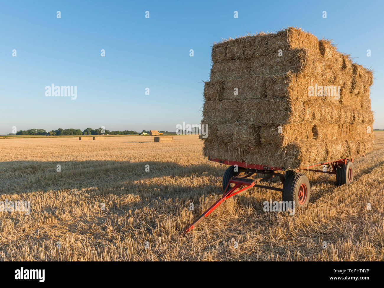 Big straw balls on a cart standing on a field. Stock Photo