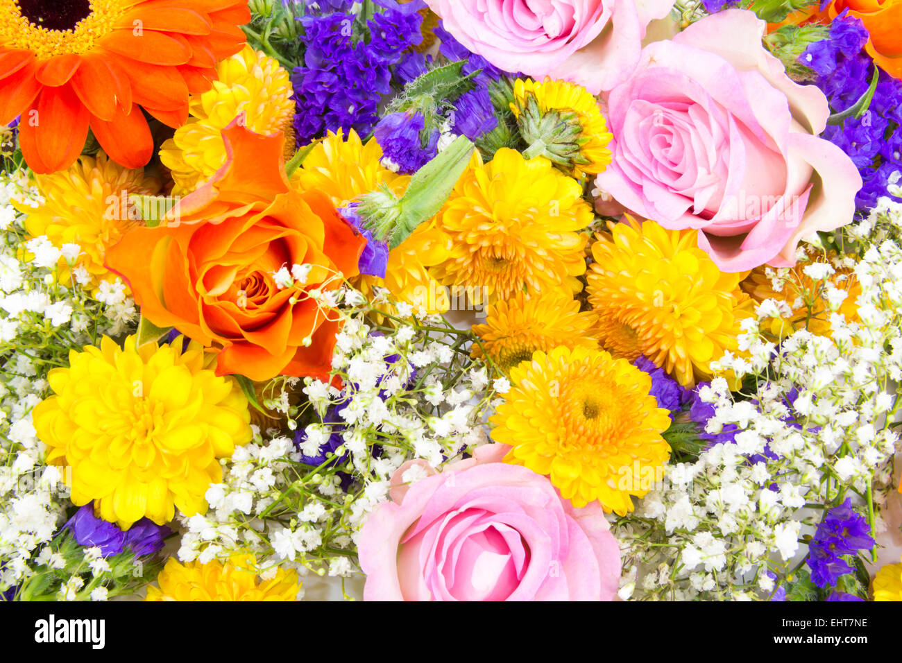 Carpet of flowers 2 Stock Photo Alamy