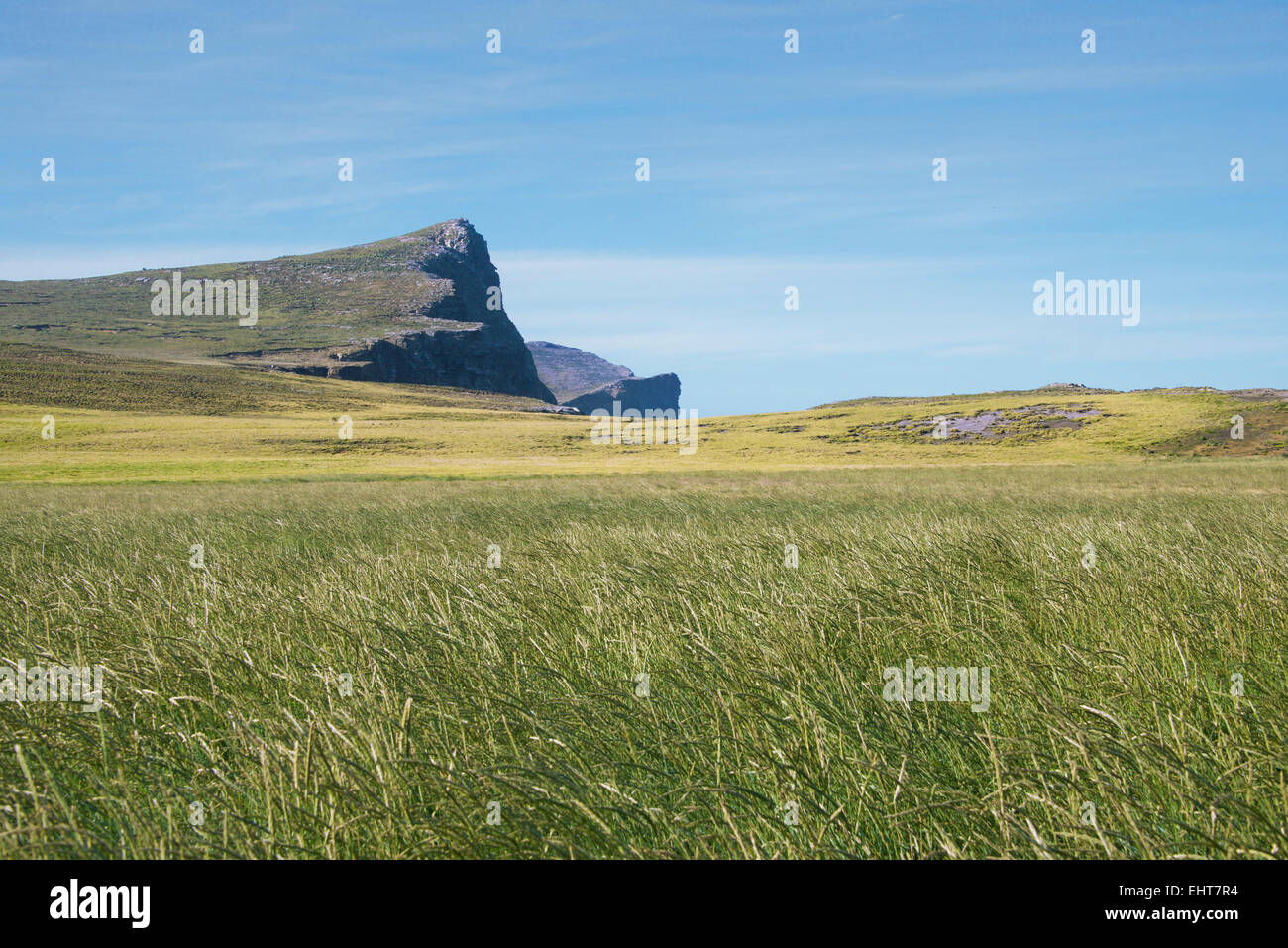 Landscape New Island Falkland Islands Stock Photo