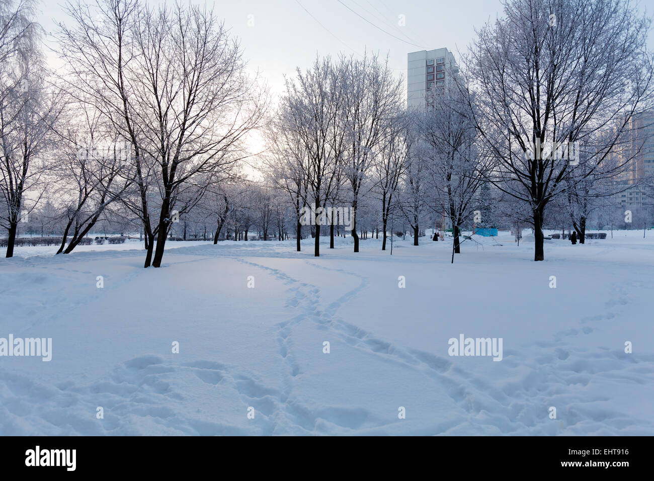 Winter Park in Moscow with Snowy Trees Stock Photo - Alamy