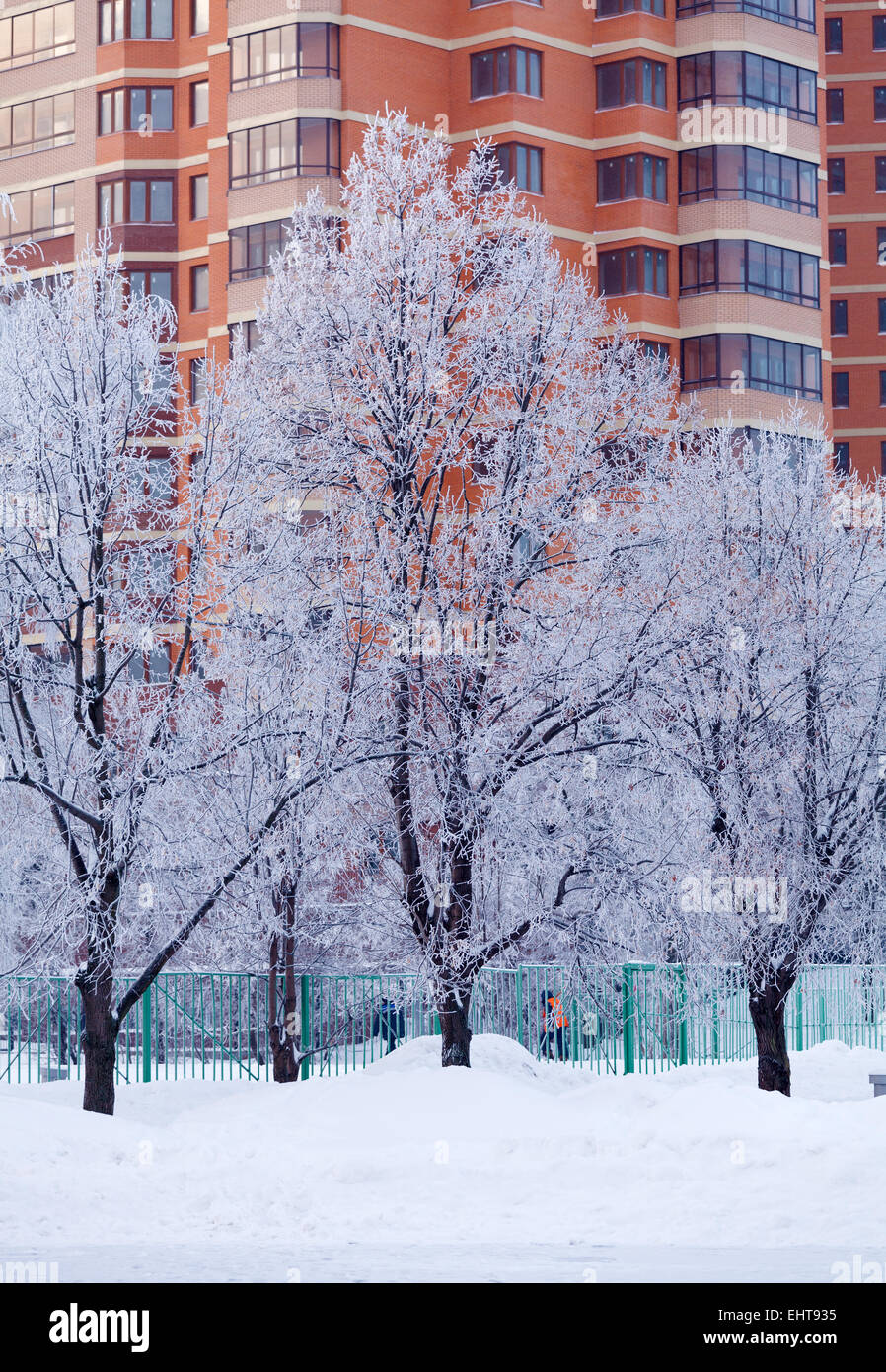 Winter Park in Moscow with Snowy Trees Stock Photo - Alamy