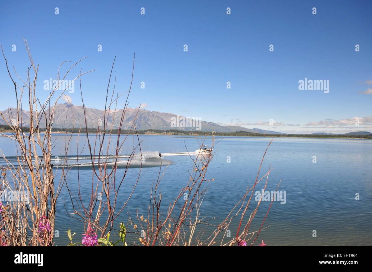 Water skier on Lake Jackson in Wyoming USA Stock Photo