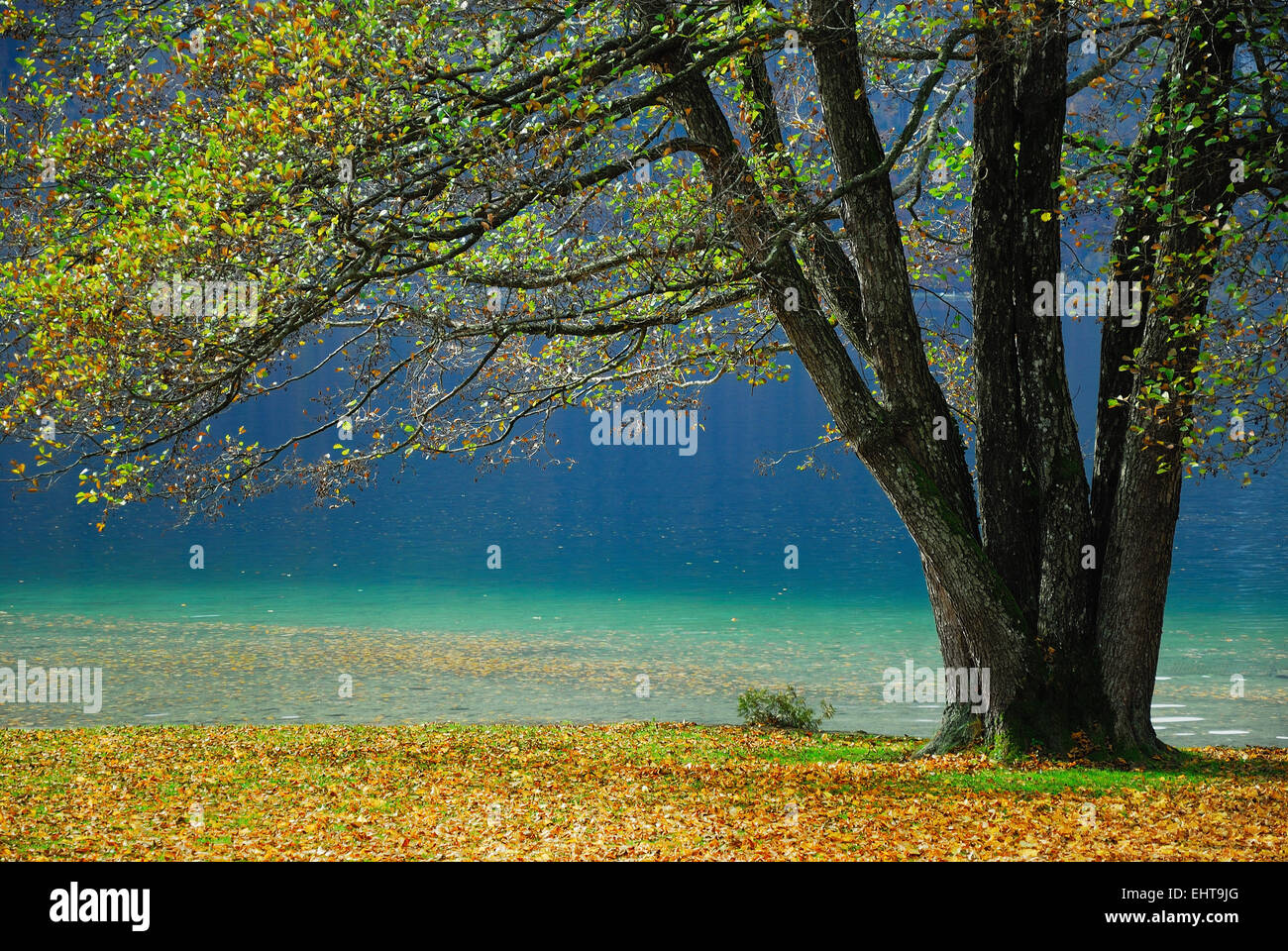 Autumn at Lake Wolfgang Stock Photo