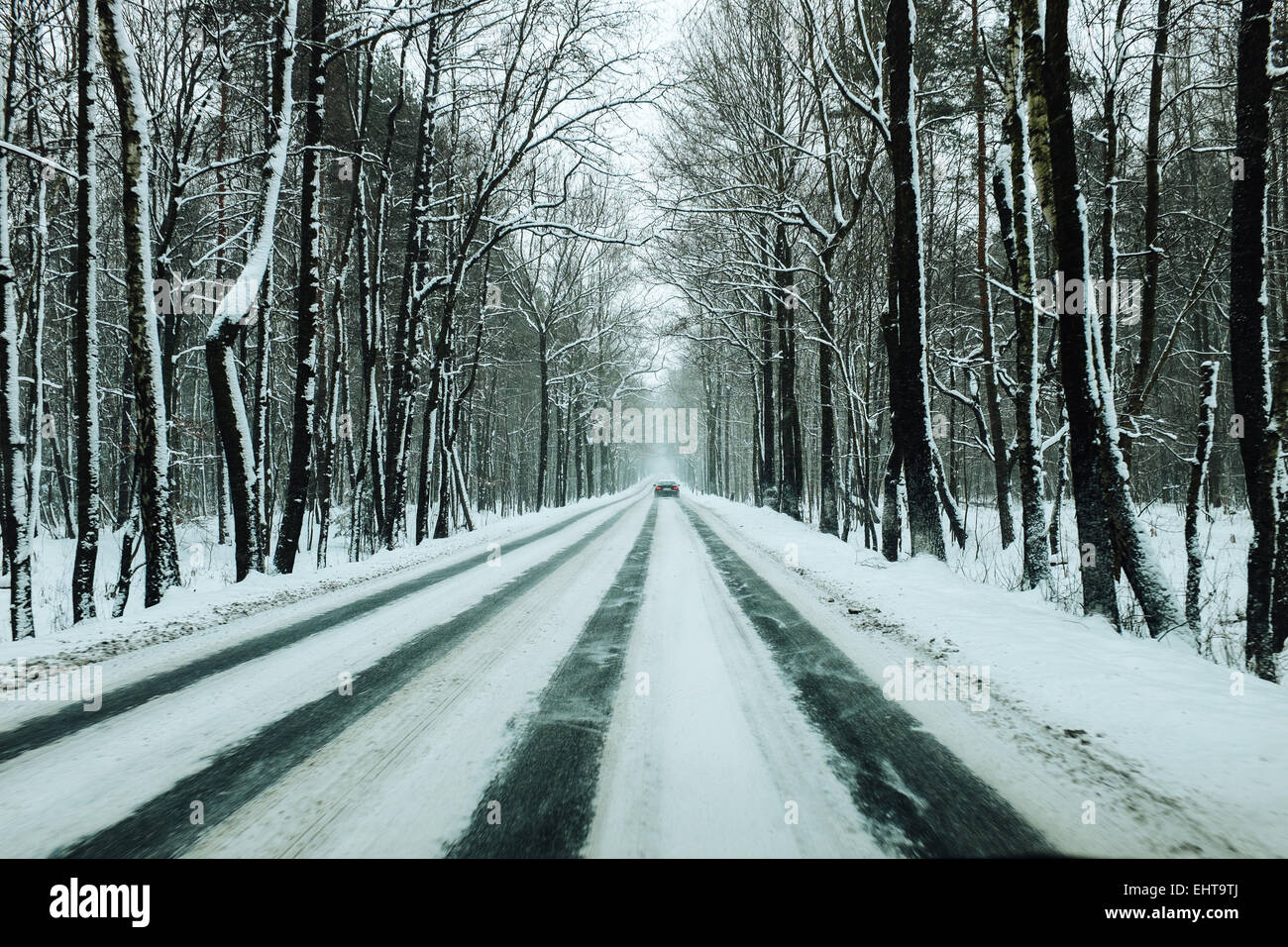 A road in forest covered in snow Stock Photo Alamy