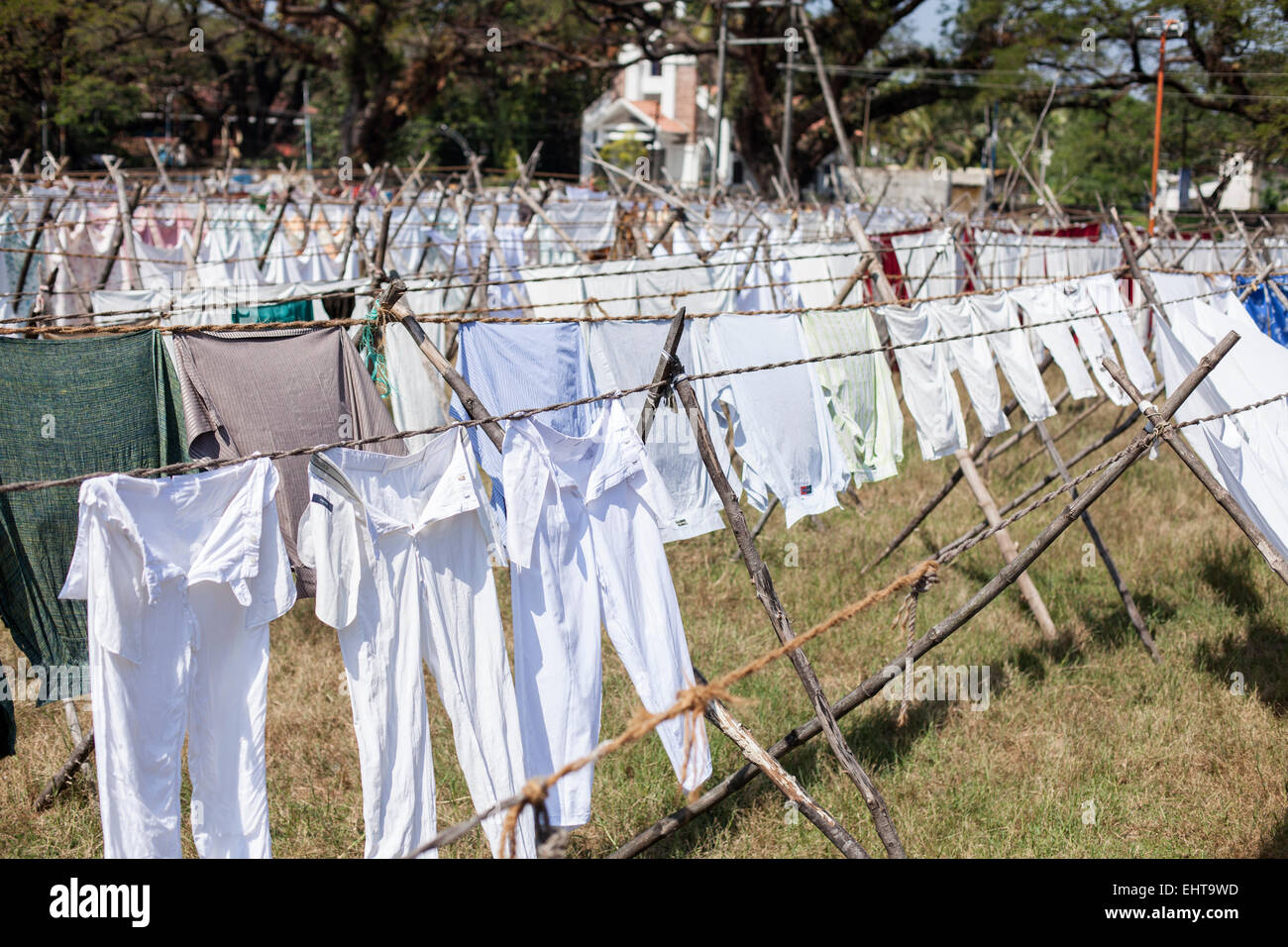 Rows of clean laundry hanging to dry in a field at the Kochi washing rooms in Kochi, Kerala, India Stock Photo