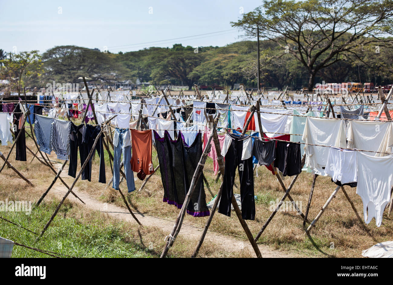 Rows of clean laundry hanging to dry in a field at the Kochi washing rooms in Kochi, Kerala, India Stock Photo