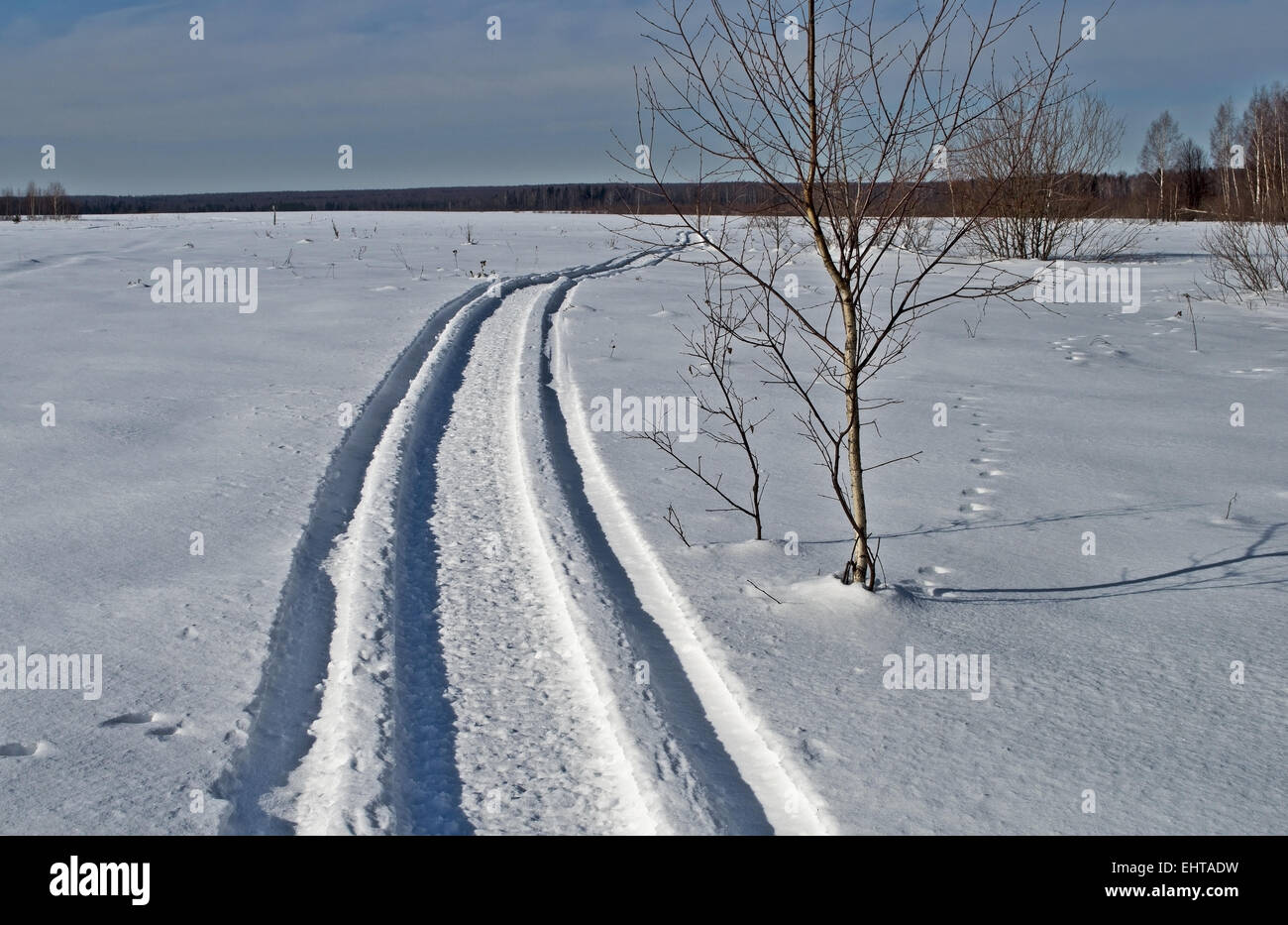 Snowmobile trail in winter field Stock Photo
