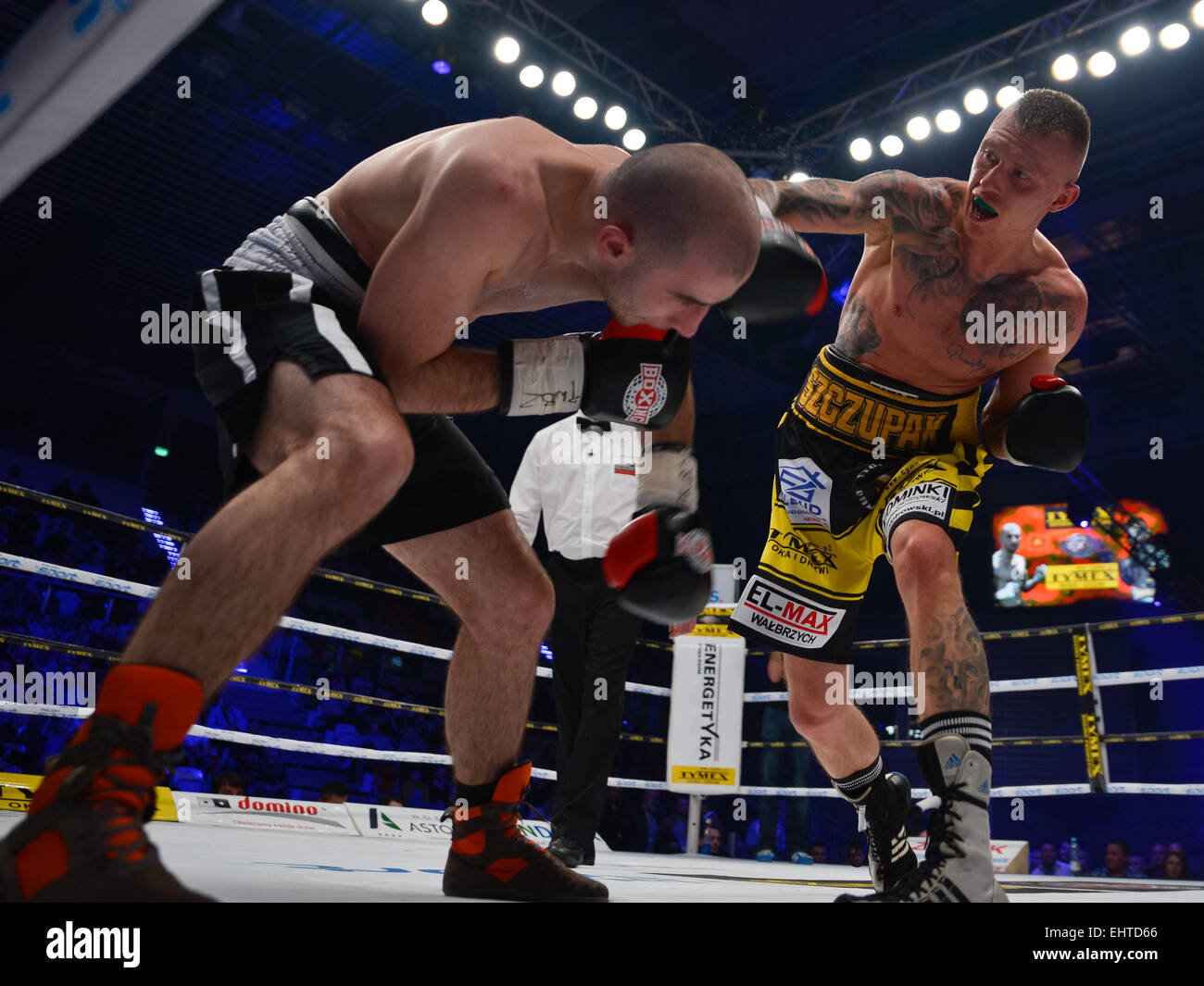LUBIN, POLAND - MARCH 14, 2015: Professional boxing fight between Michal Lesniak (yellow short) and Lukas Leskovic (black short) Stock Photo