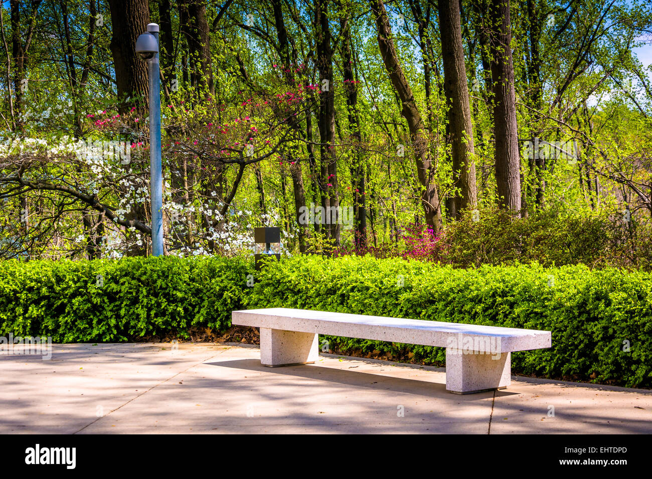 Bench and spring color at the Washington DC Mormon Temple in Kensington ...