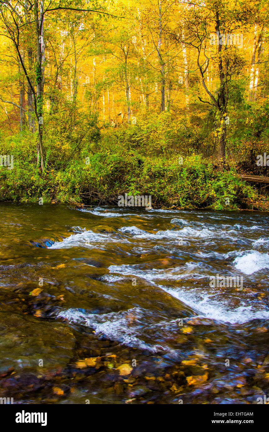 Cascades on the Gunpowder River in Gunpowder Falls State Park, Maryland