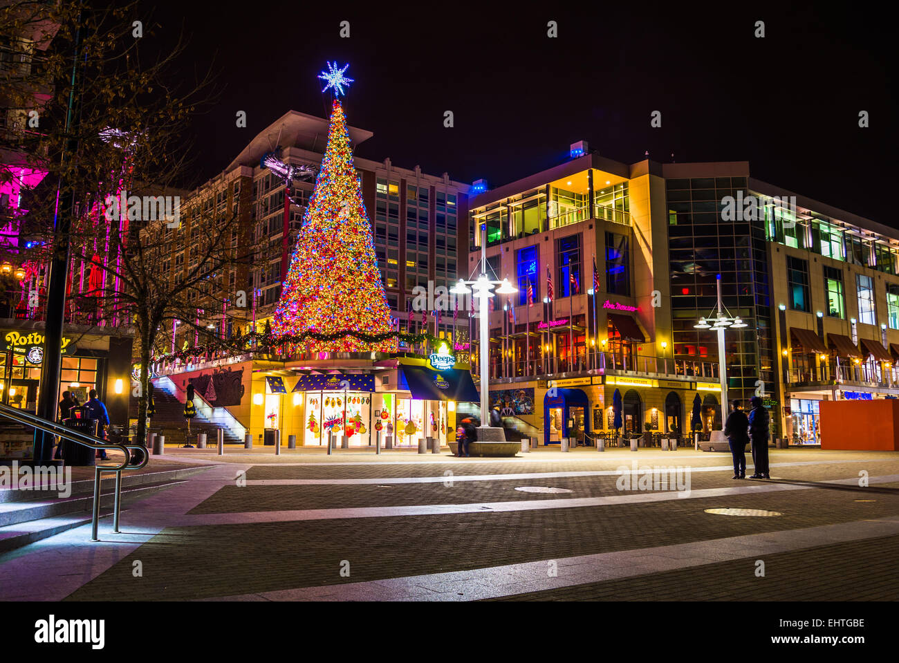 National Harbor December 2024 Denna Felecia