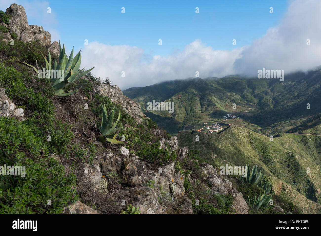Village in the green mountains with agave on the island of Tenerife in Spain. Stock Photo