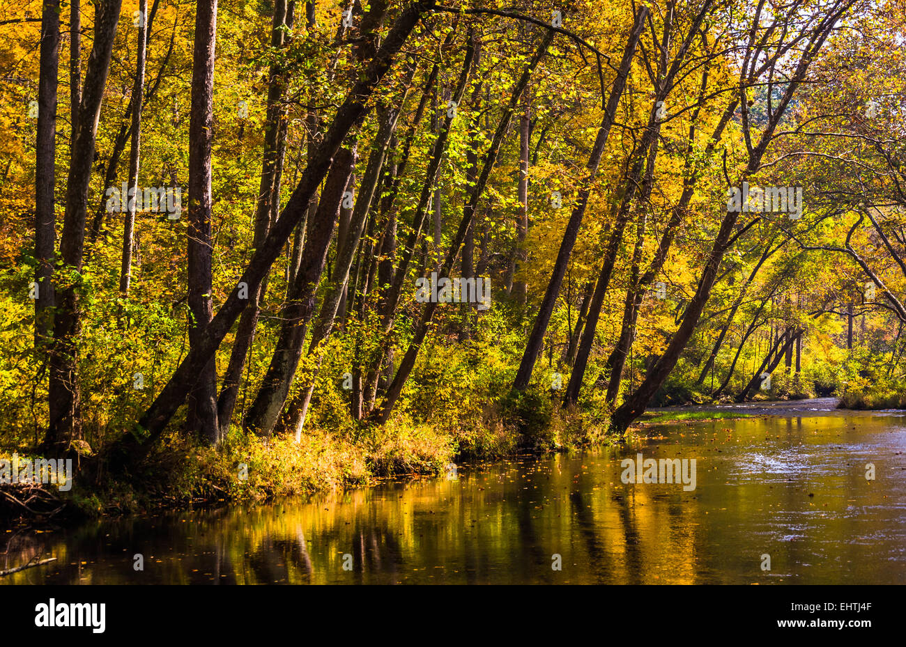 Early autumn color along the Gunpowder River, in Gunpowder Falls State ...