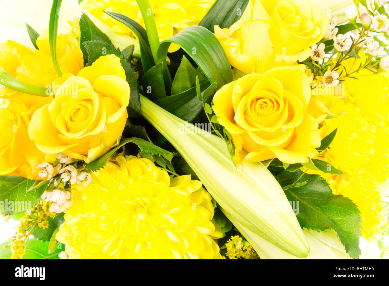 Roselily flowers 10 Stock Photo Alamy