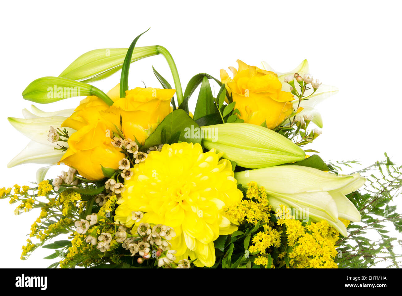 Lily rosen hires stock photography and images Alamy