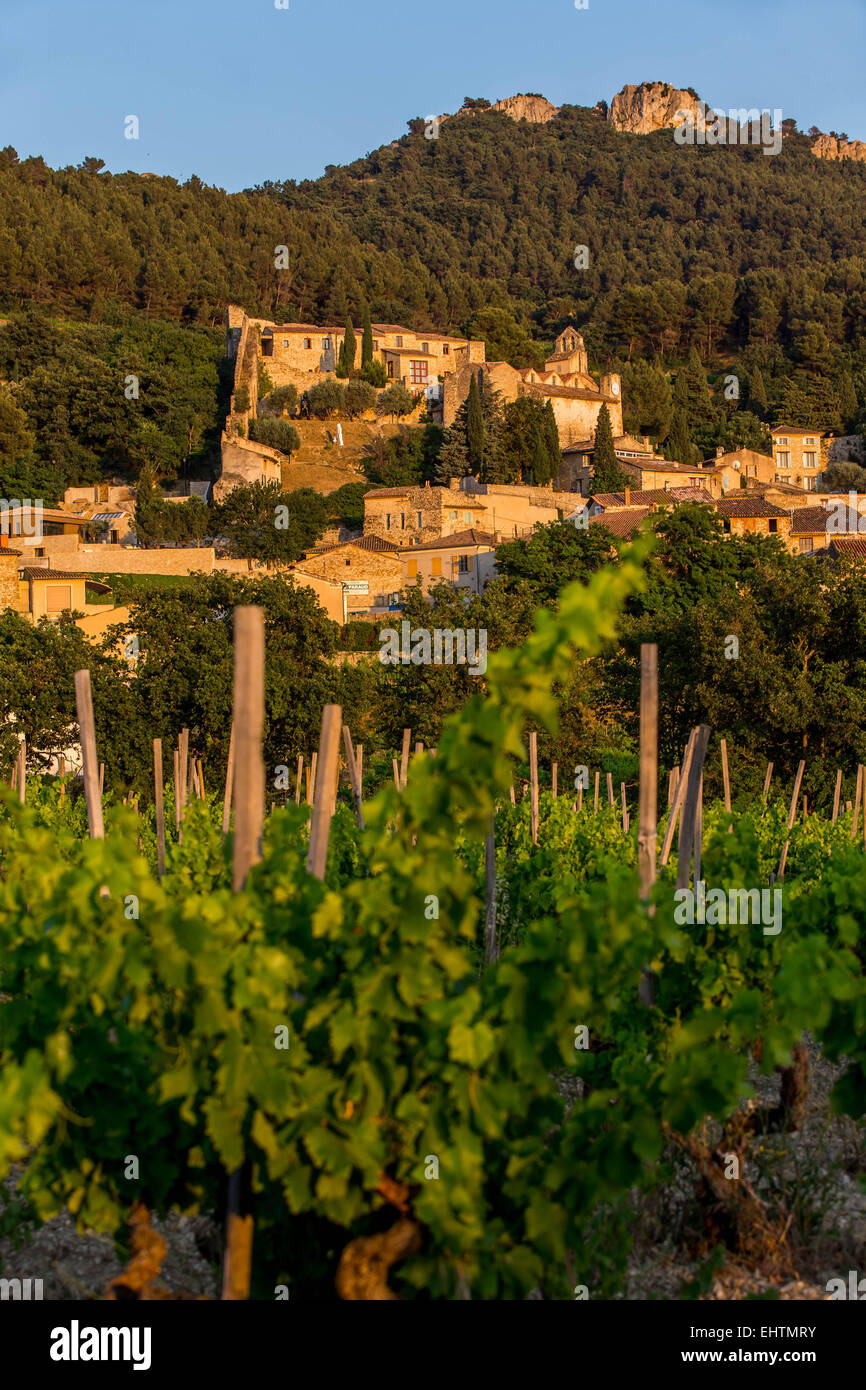 VINEYARDS OF GIGONDAS, VAUCLUSE, PROVENCE, FRANCE Stock Photo