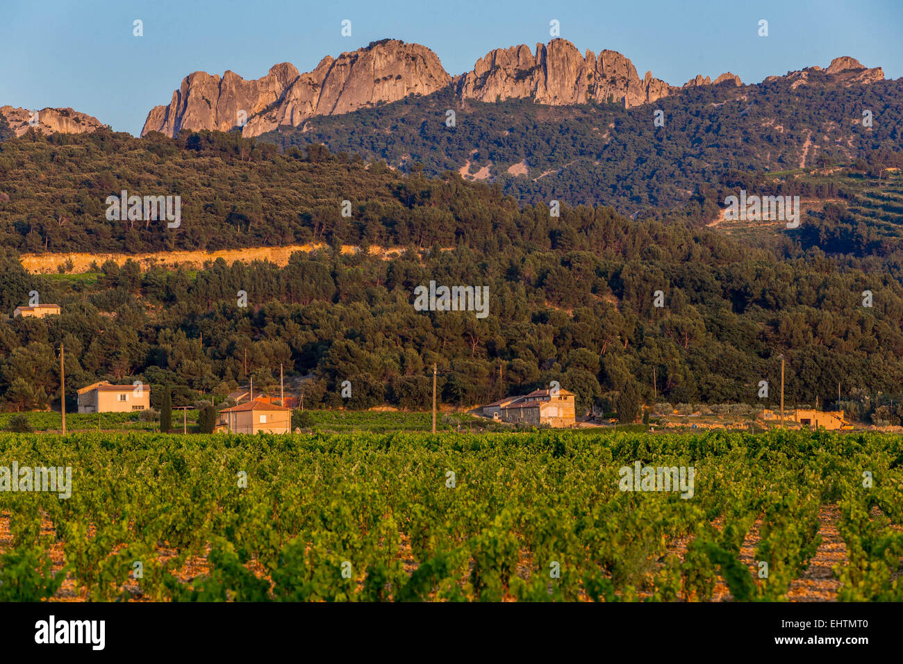 VINEYARDS OF GIGONDAS, VAUCLUSE, PROVENCE, FRANCE Stock Photo