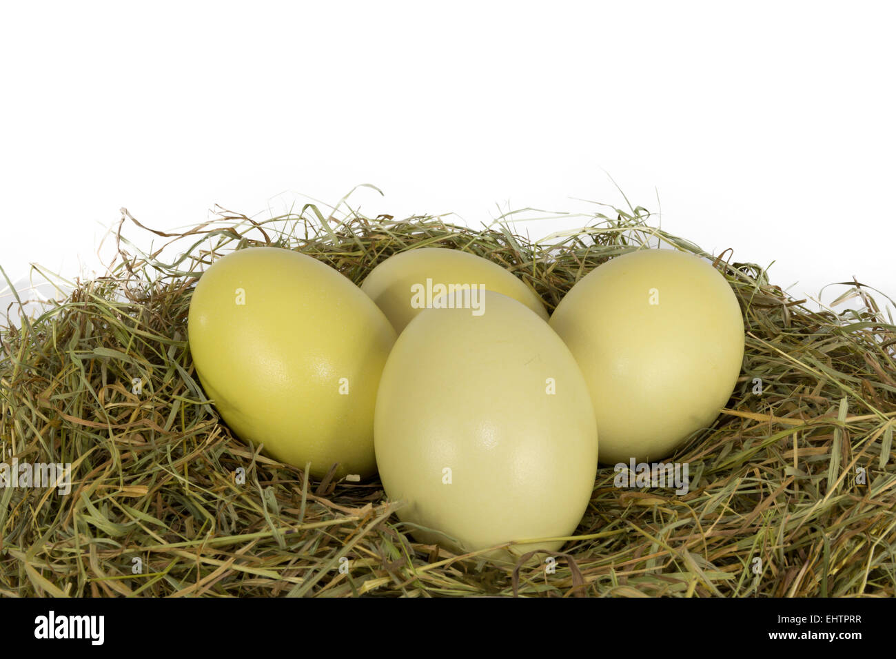 Rhea eggs in hay Stock Photo - Alamy